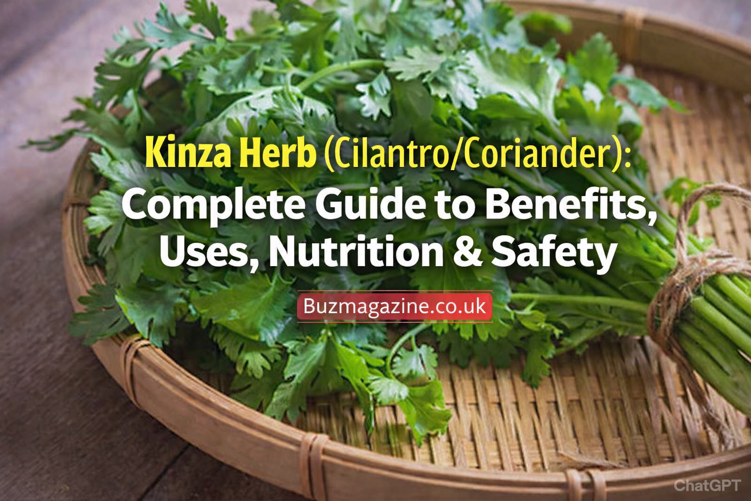 Kinza Herb (Cilantro/Coriander): Complete Guide to Benefits, Uses, Nutrition & Safety