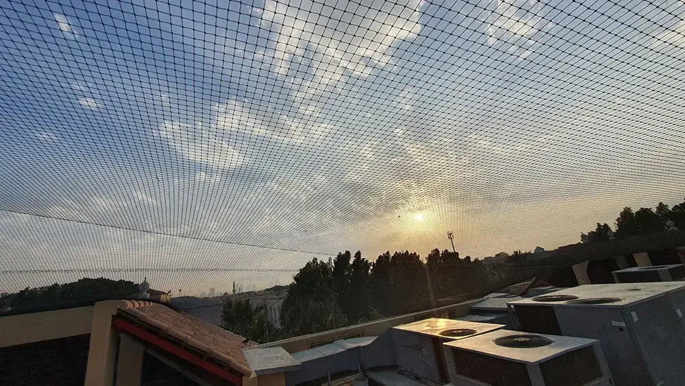 How to Inspect Pigeon Net Installation in Dubai for Wear and Tear