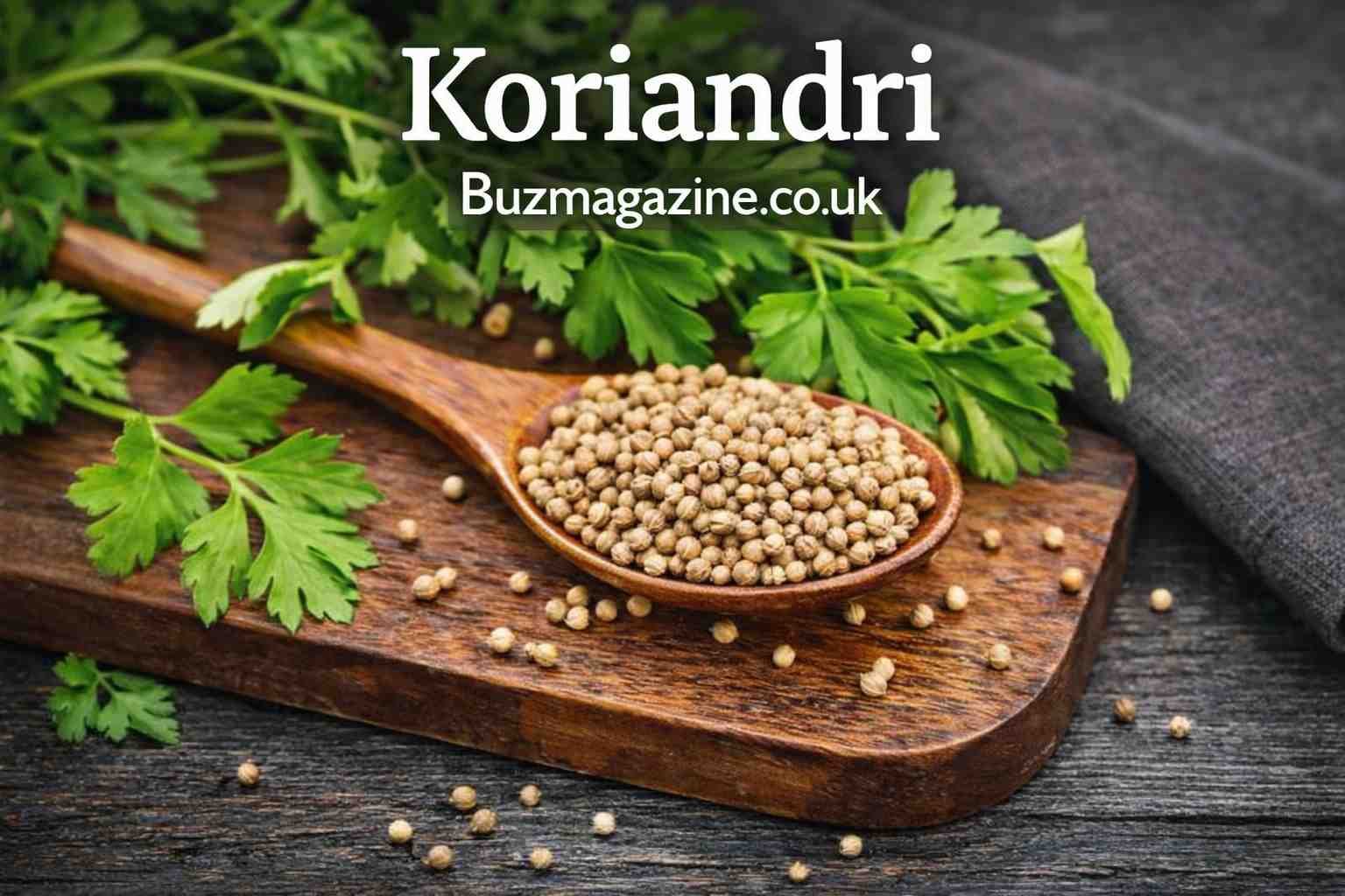 Koriandri: Benefits, Uses, Nutrition, History, and How to Grow This Powerful Herb